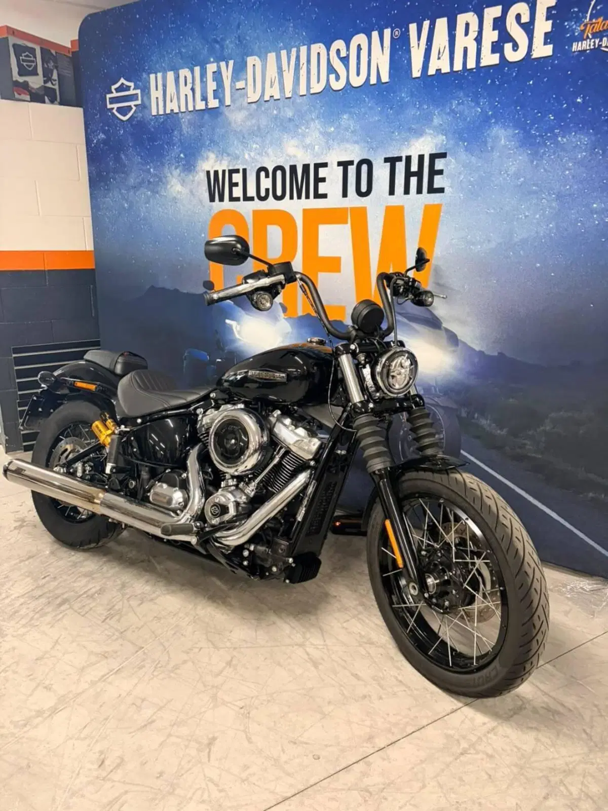 Harley-Davidson Street Bob 117 (2025 - 26) (2)