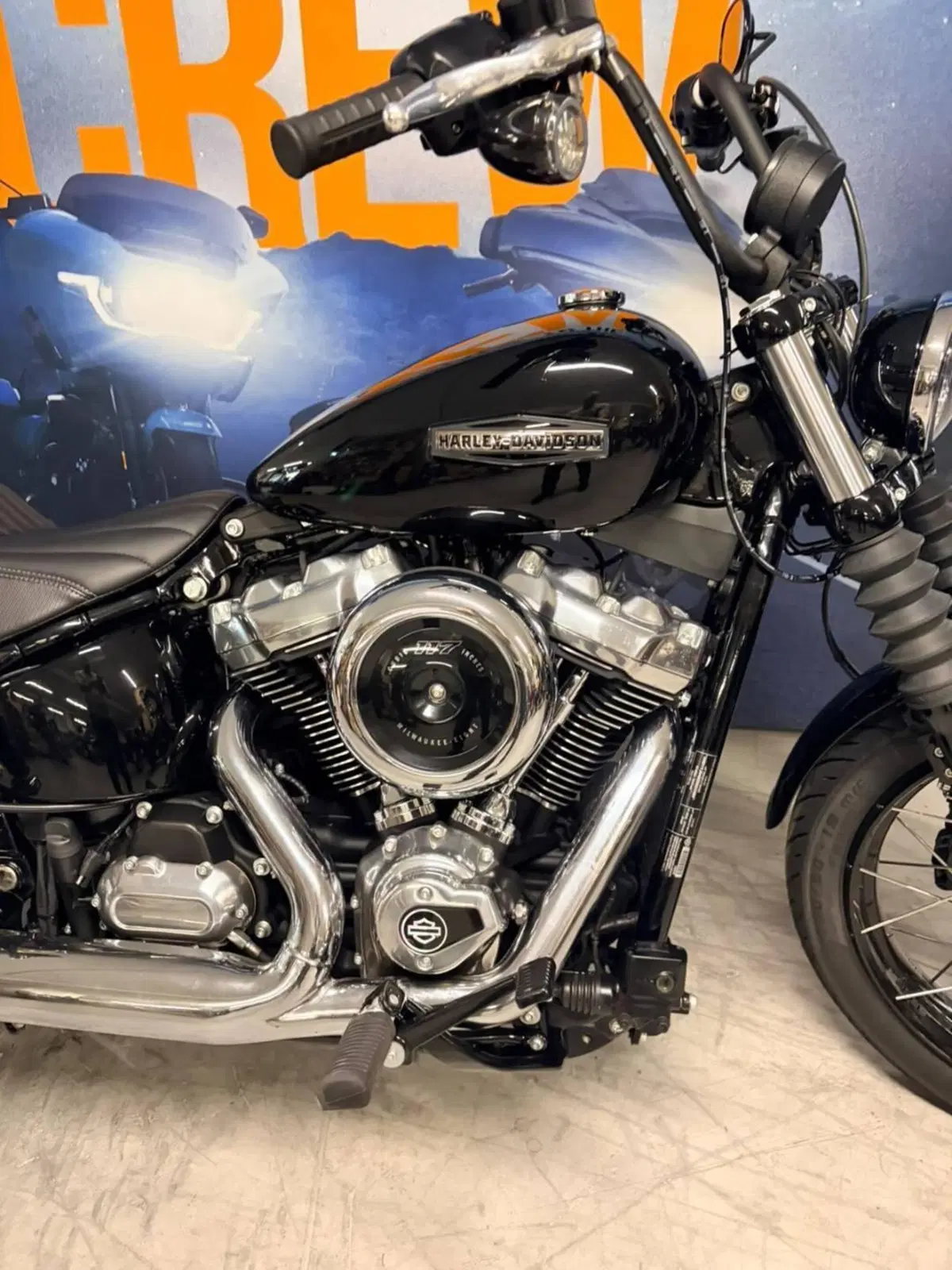 Harley-Davidson Street Bob 117 (2025 - 26) (3)