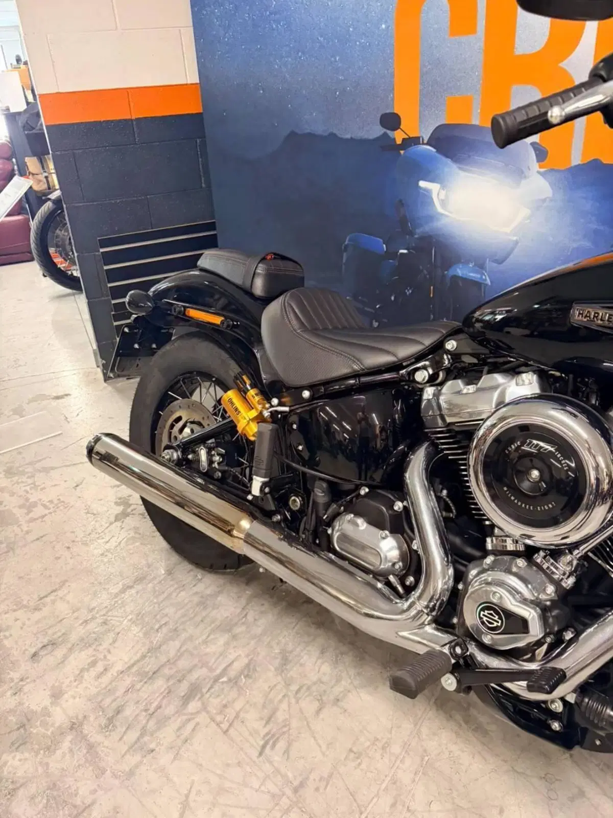 Harley-Davidson Street Bob 117 (2025 - 26) (4)