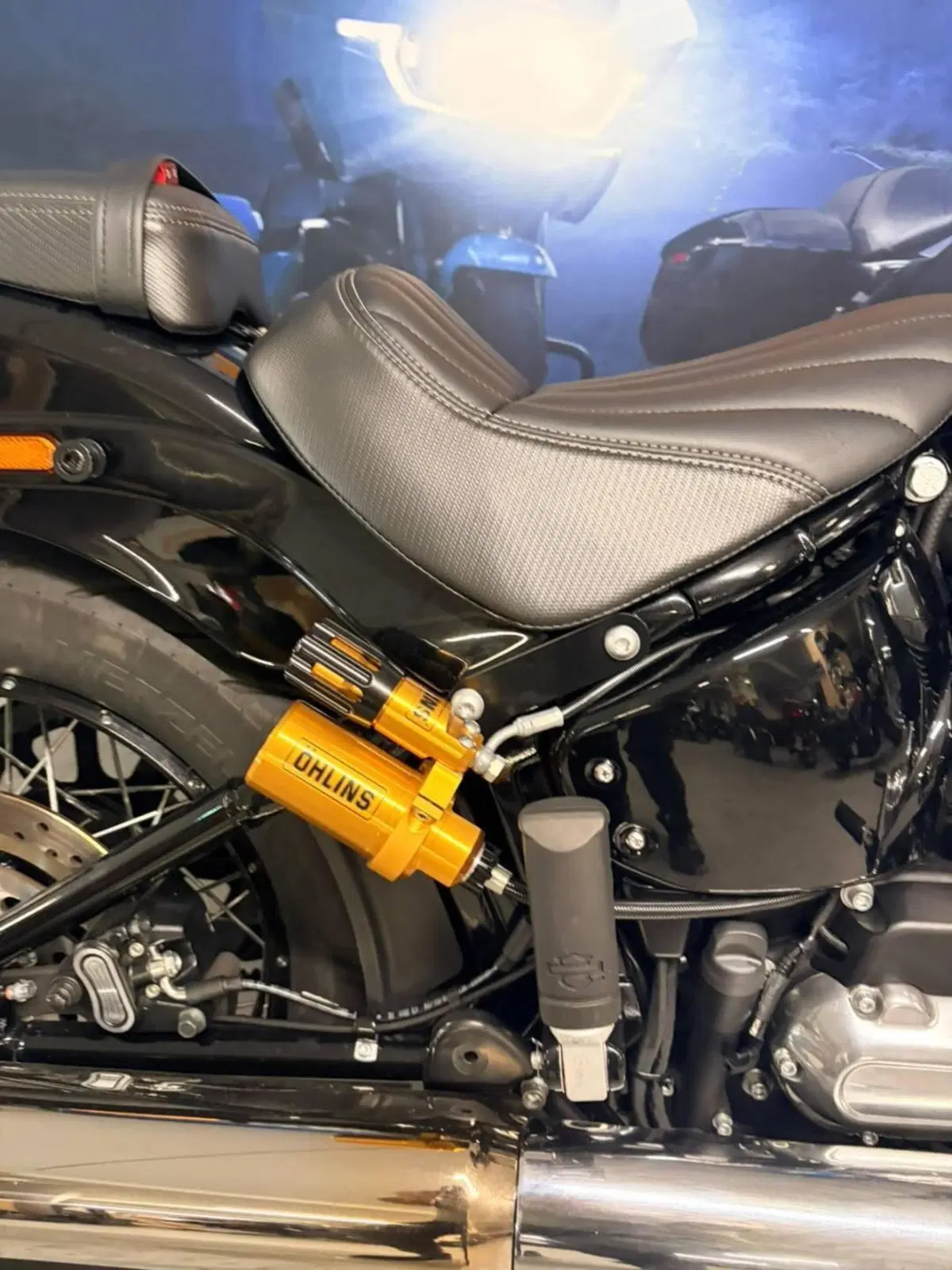Harley-Davidson Street Bob 117 (2025 - 26) (5)