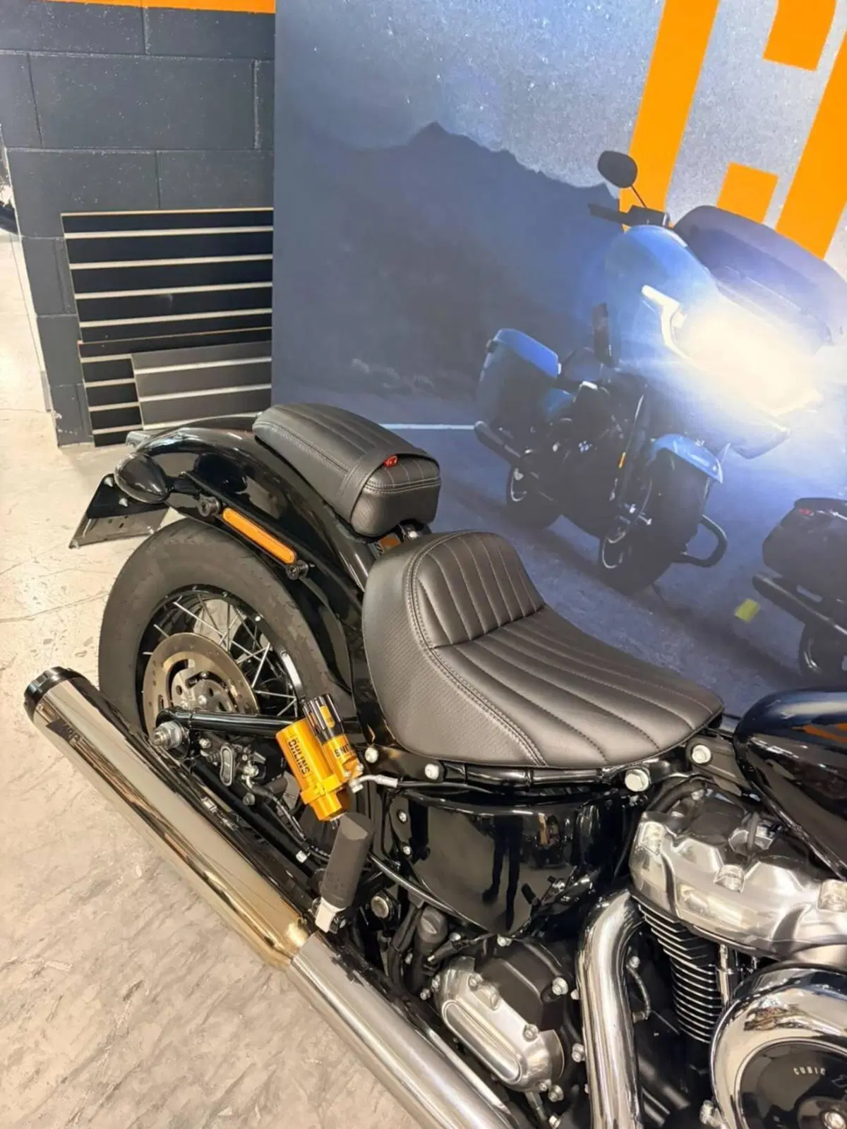 Harley-Davidson Street Bob 117 (2025 - 26) (7)