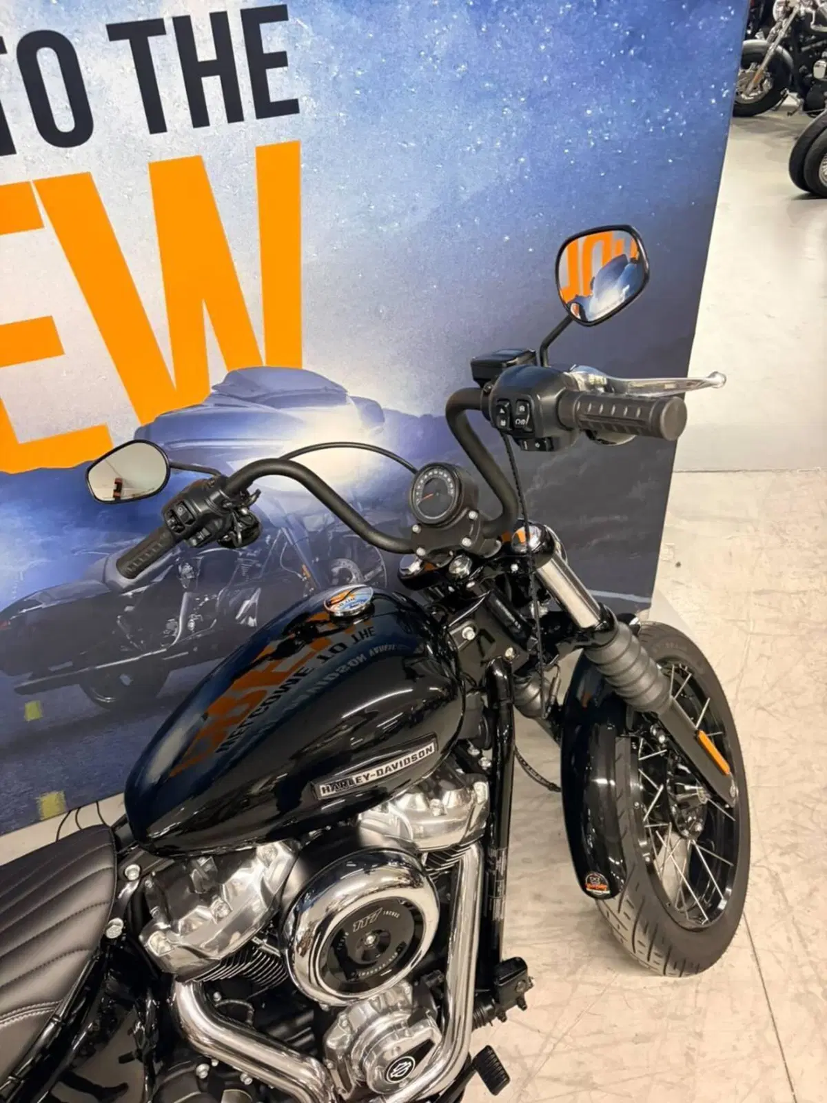 Harley-Davidson Street Bob 117 (2025 - 26) (8)