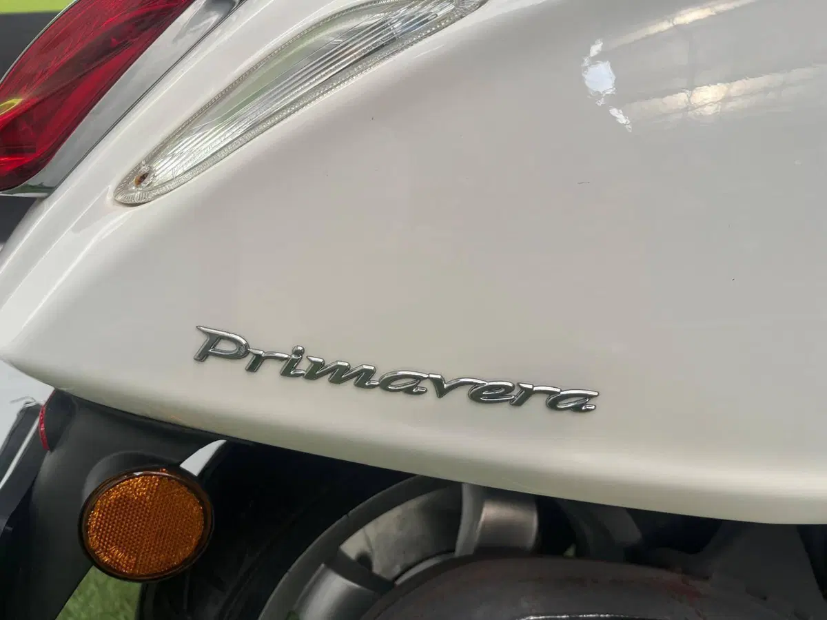 Vespa Primavera 50 2T (2014 - 17) (8)