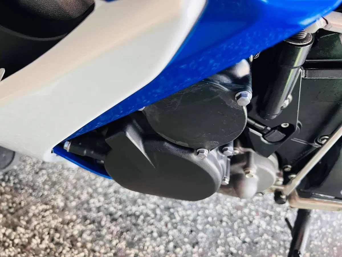 Suzuki GSX R 600 (2006 - 07) (13)