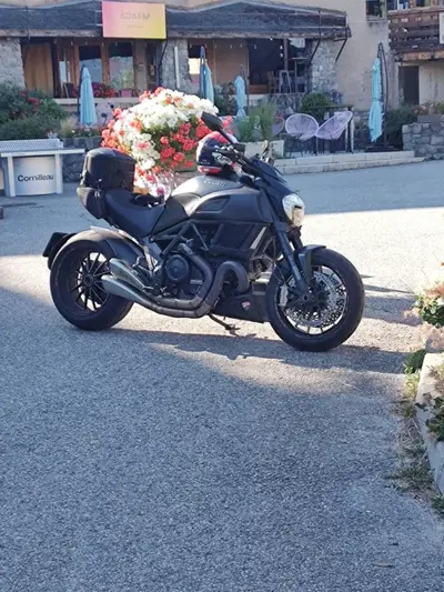 Ducati Diavel 1200 (2014 - 16) usata