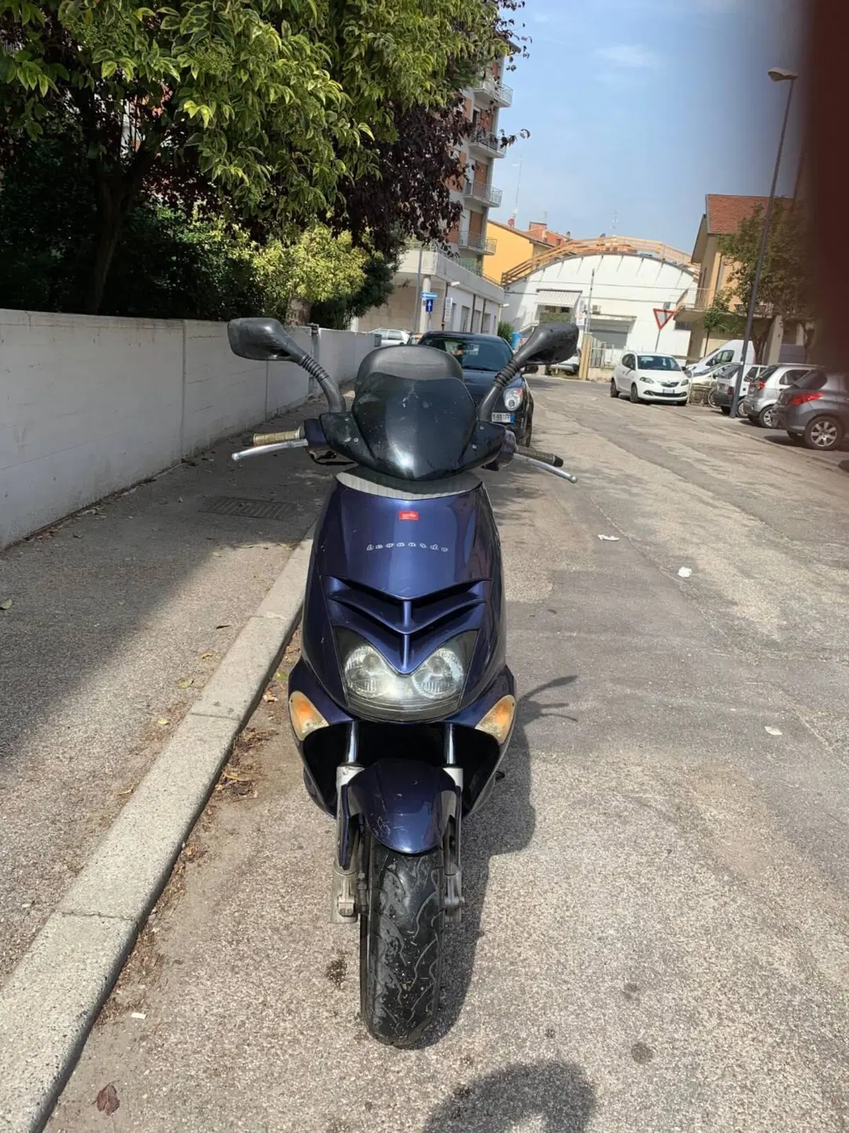 Aprilia Leonardo 250 (1999 - 02) (2)