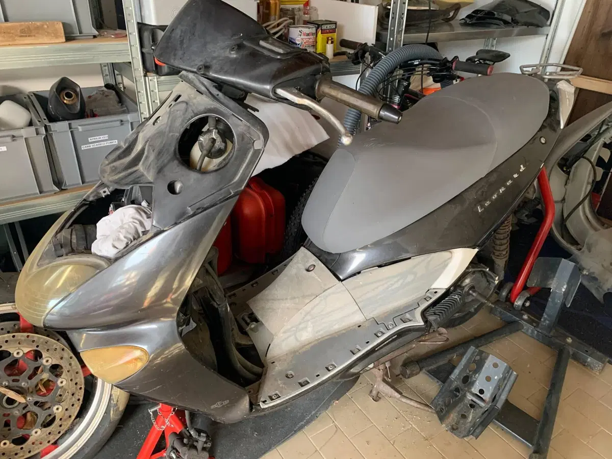 Aprilia Leonardo 250 (1999 - 02) (7)