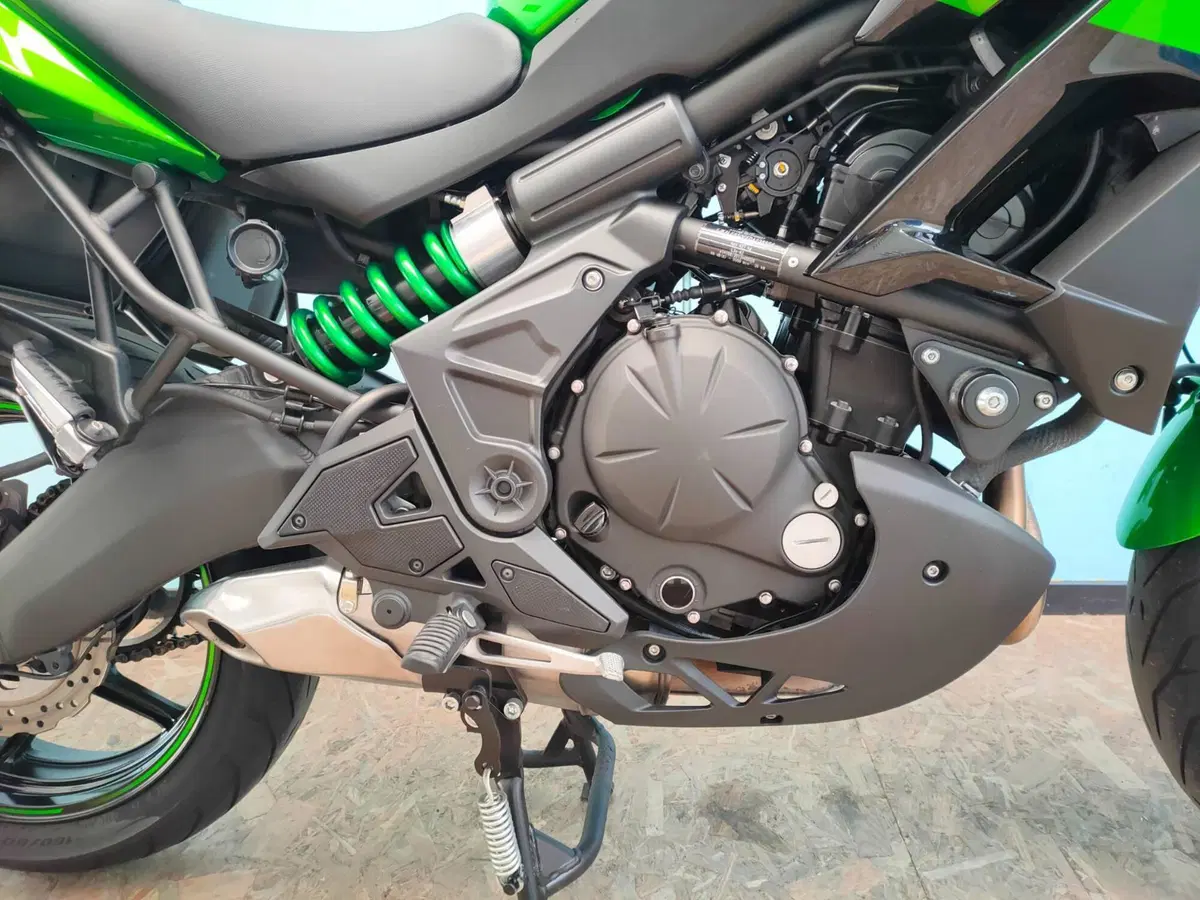 Kawasaki Versys 650 (2017 - 20) (8)