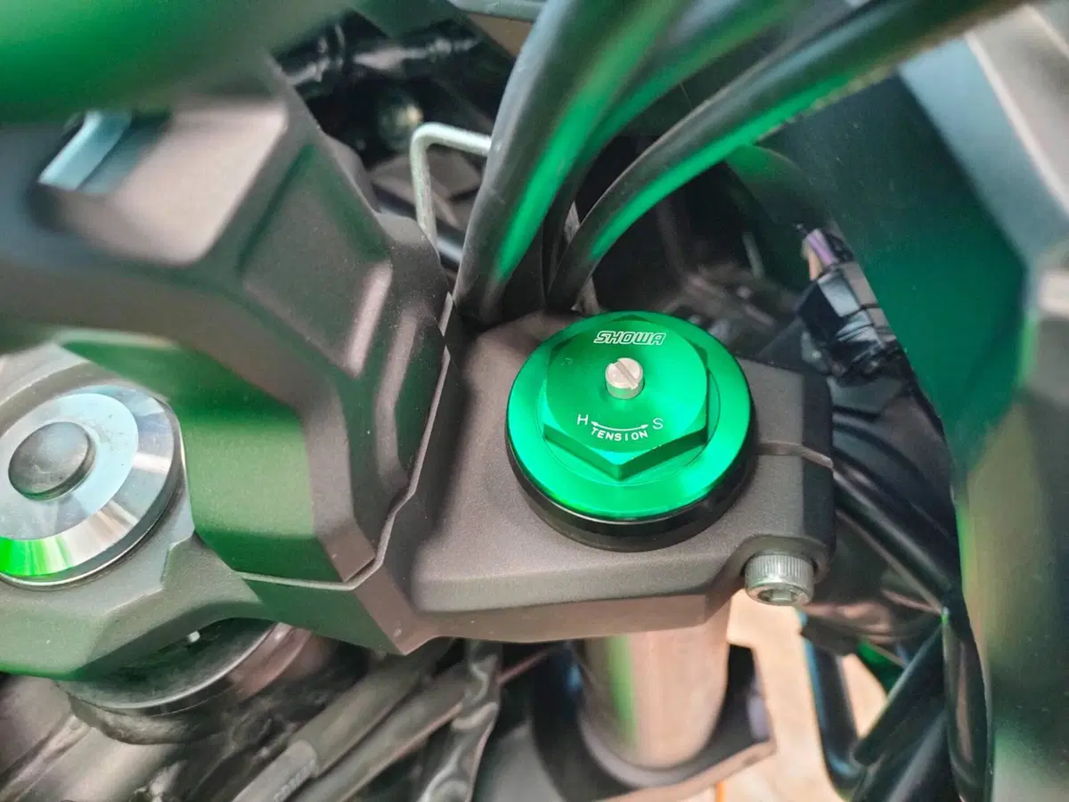 Kawasaki Versys 650 (2017 - 20) (13)