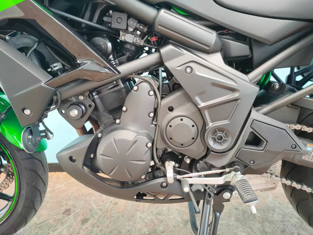 Kawasaki Versys 650 (2017 - 20) (14)