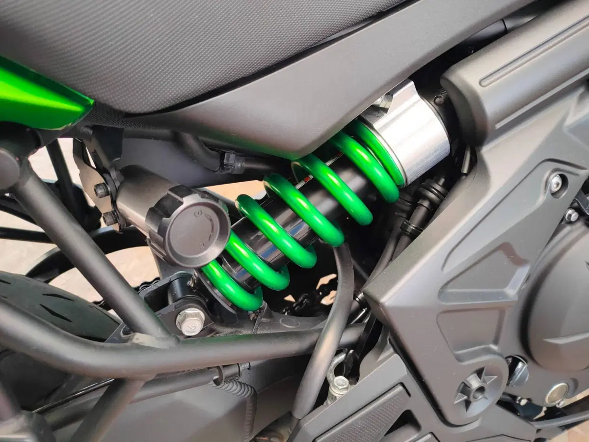 Kawasaki Versys 650 (2017 - 20) (18)