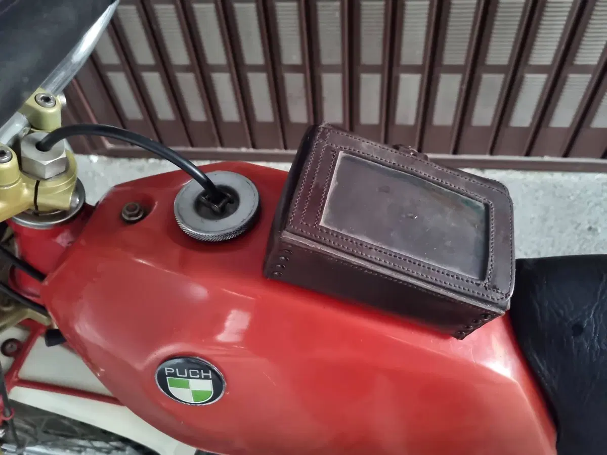 Puch Frigerio GS 80 (8)