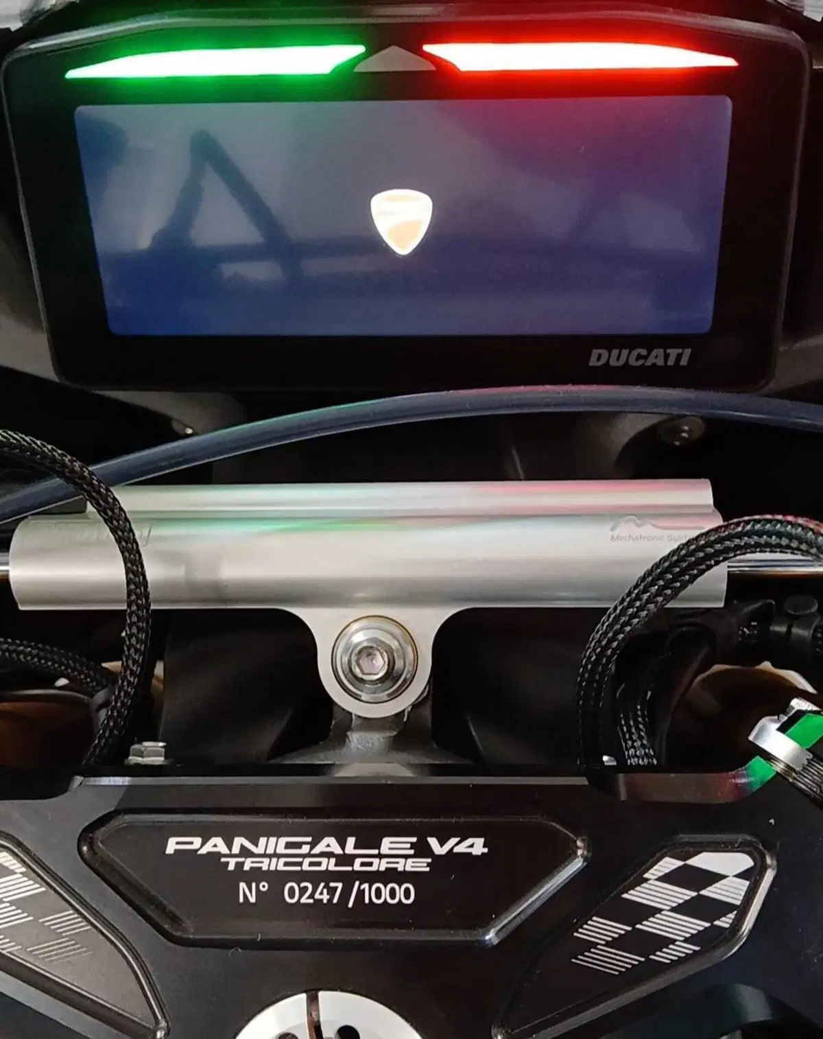 Ducati Panigale V4 Tricolore (2025 - 26) (13)