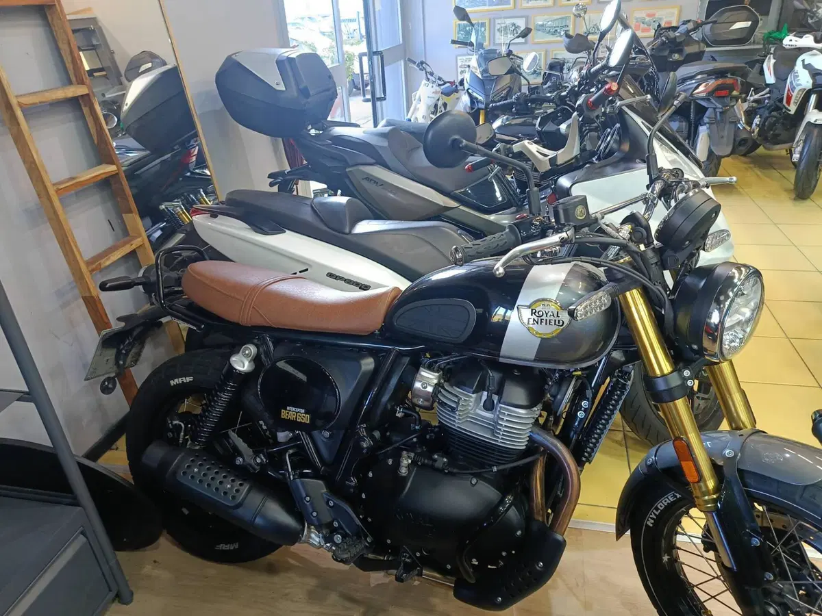 Royal Enfield Bear 650 (2025 - 26)