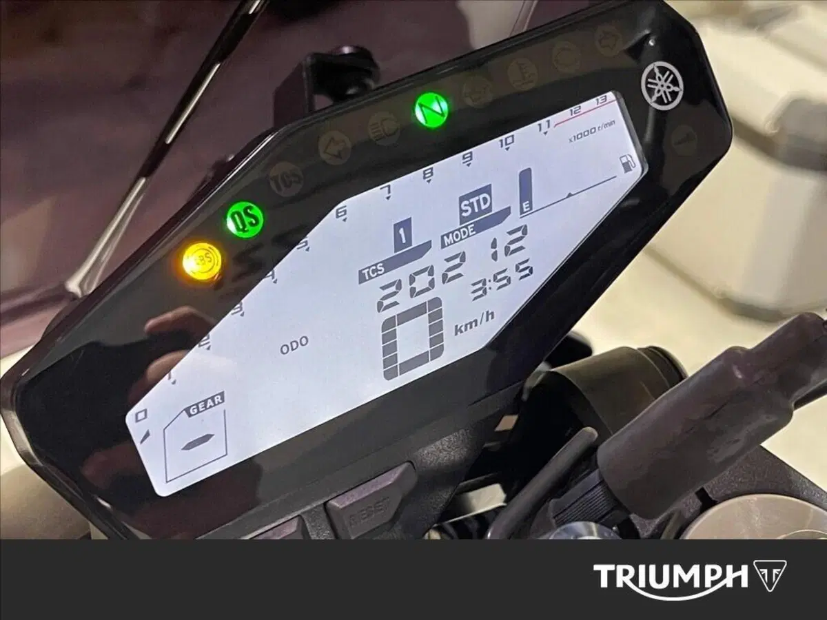 Yamaha MT-09 (2017 - 20) (3)