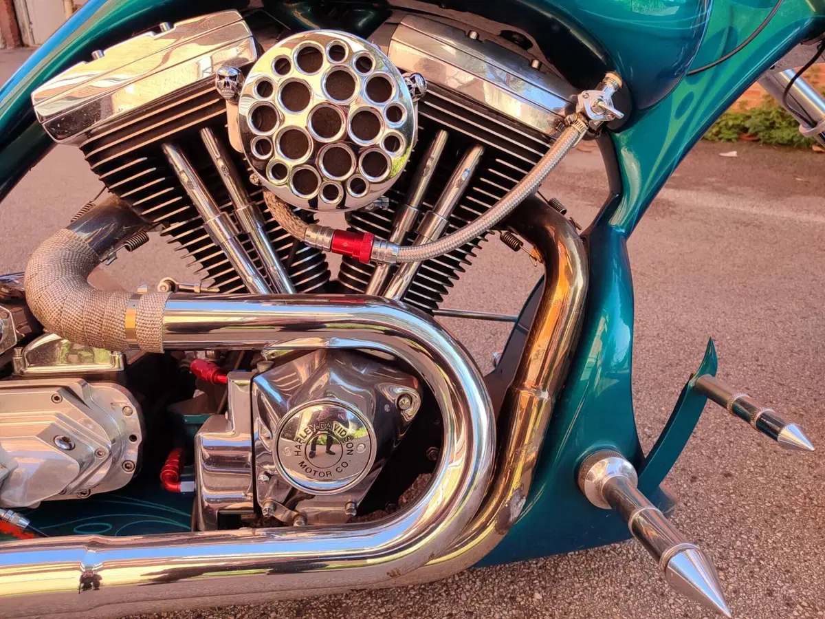 Harley-Davidson 110 Dyna (2007) - FXDSE (6)
