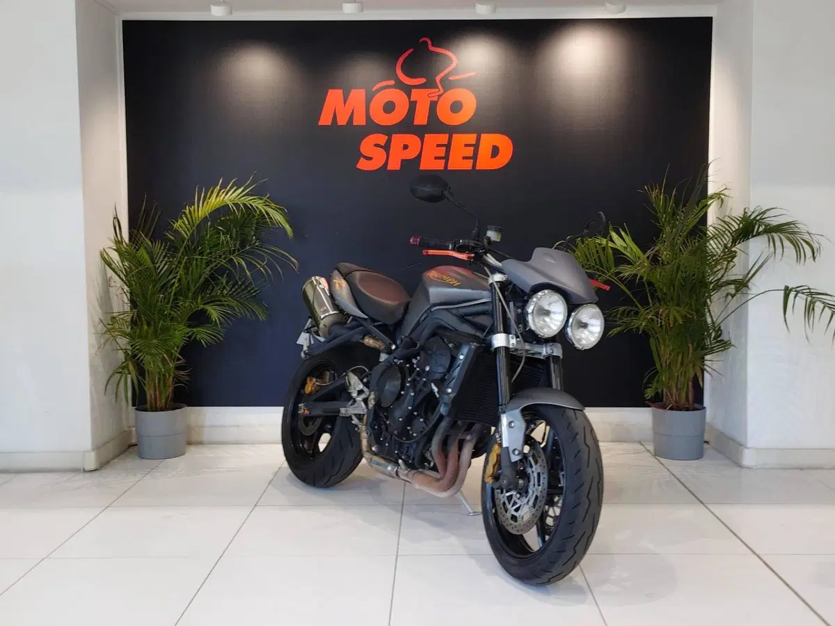 Triumph Street Triple R (2009 - 12) (7)