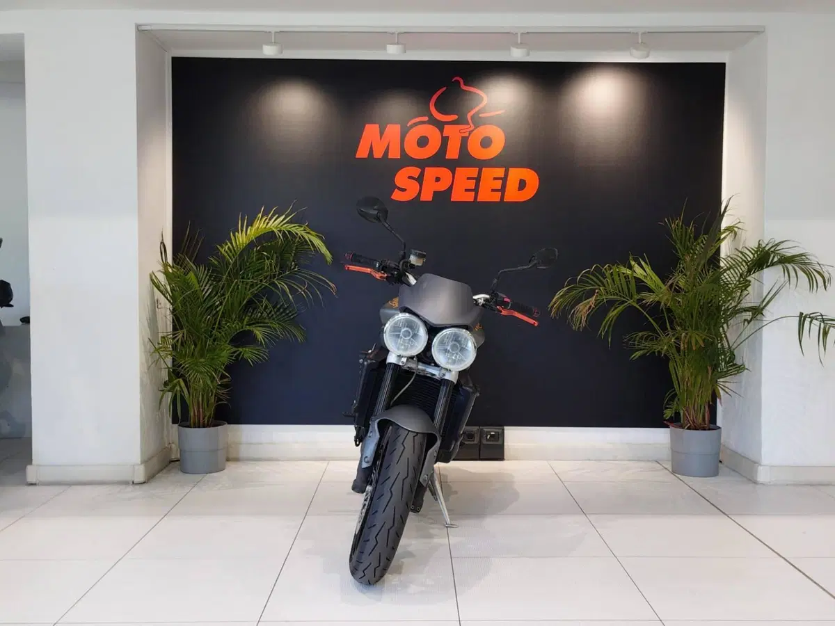 Triumph Street Triple R (2009 - 12) (6)