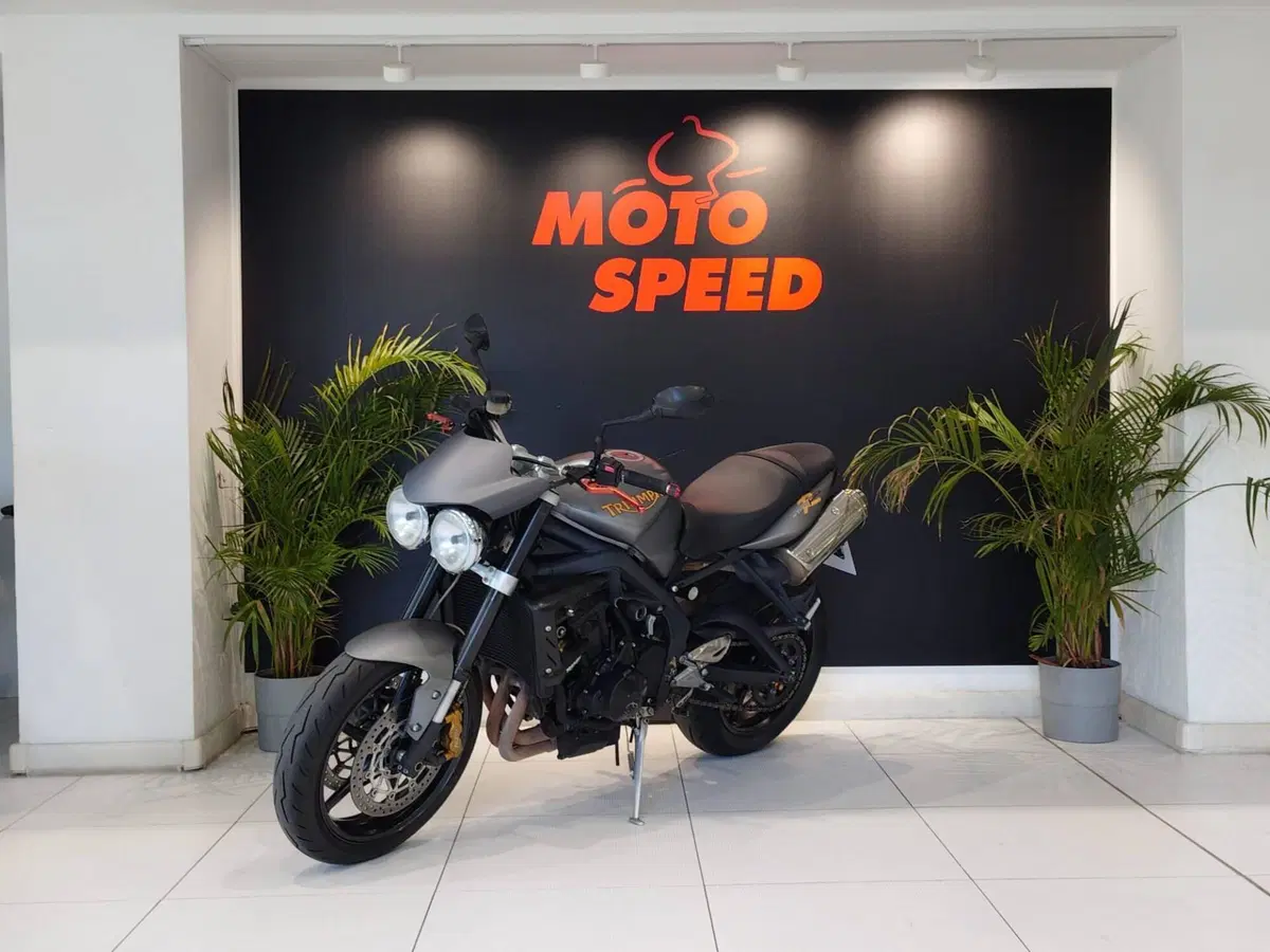 Triumph Street Triple R (2009 - 12) (5)