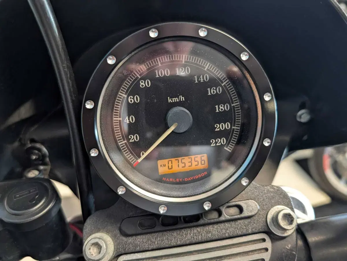 Harley-Davidson 883 R (2006 - 07) - XL 883R (8)