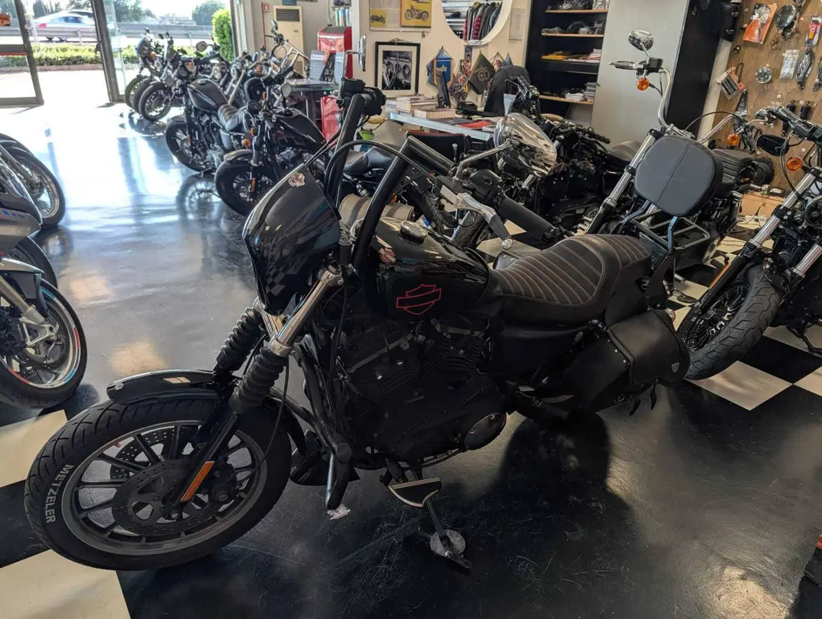 Harley-Davidson 883 R (2006 - 07) - XL 883R (9)
