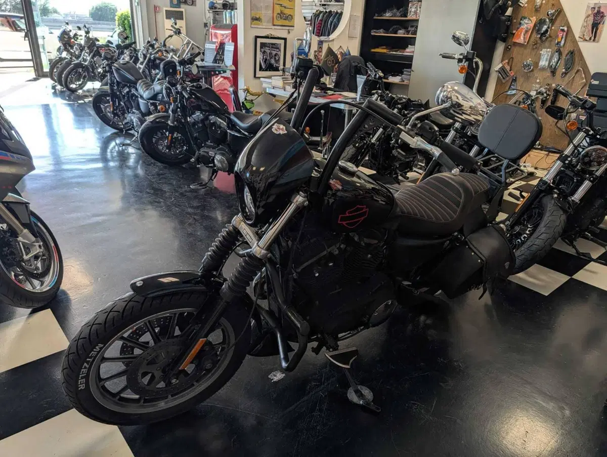 Harley-Davidson 883 R (2006 - 07) - XL 883R (12)