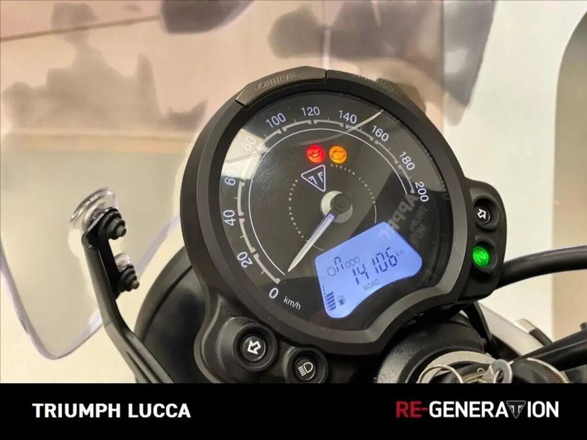 Triumph Street Scrambler 900 (2021 - 22) (7)