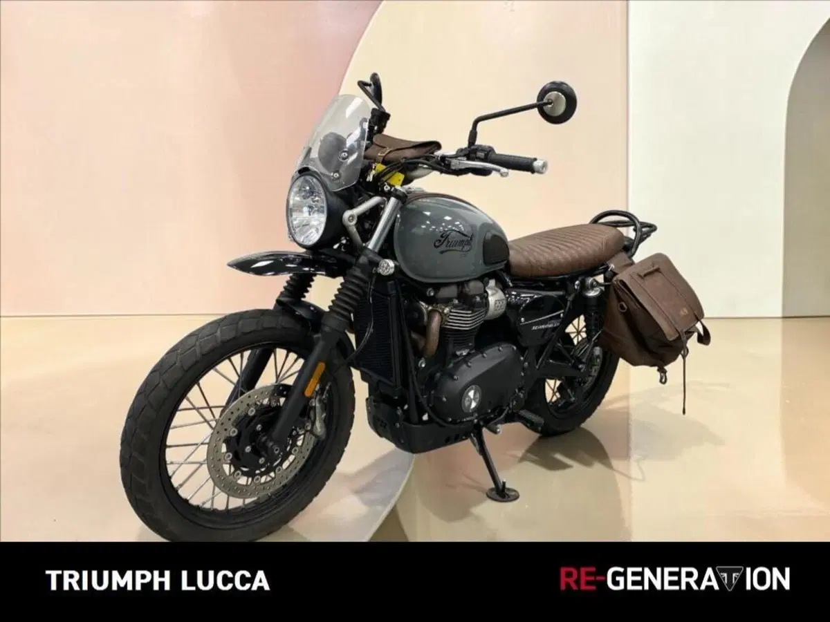 Triumph Street Scrambler 900 (2021 - 22) (6)