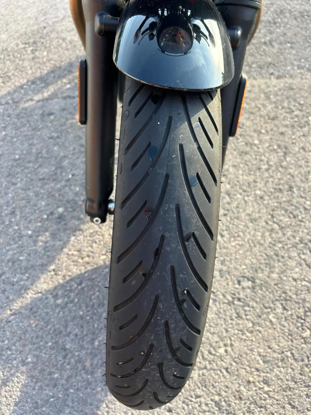 Triumph Speed Twin 900 Chrome Edition (2023) (6)