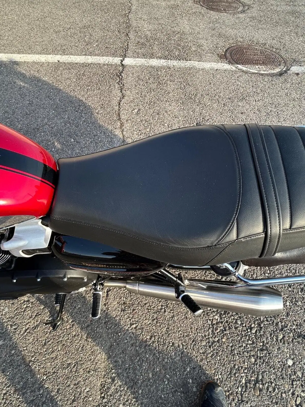 Triumph Speed Twin 900 Chrome Edition (2023) (10)