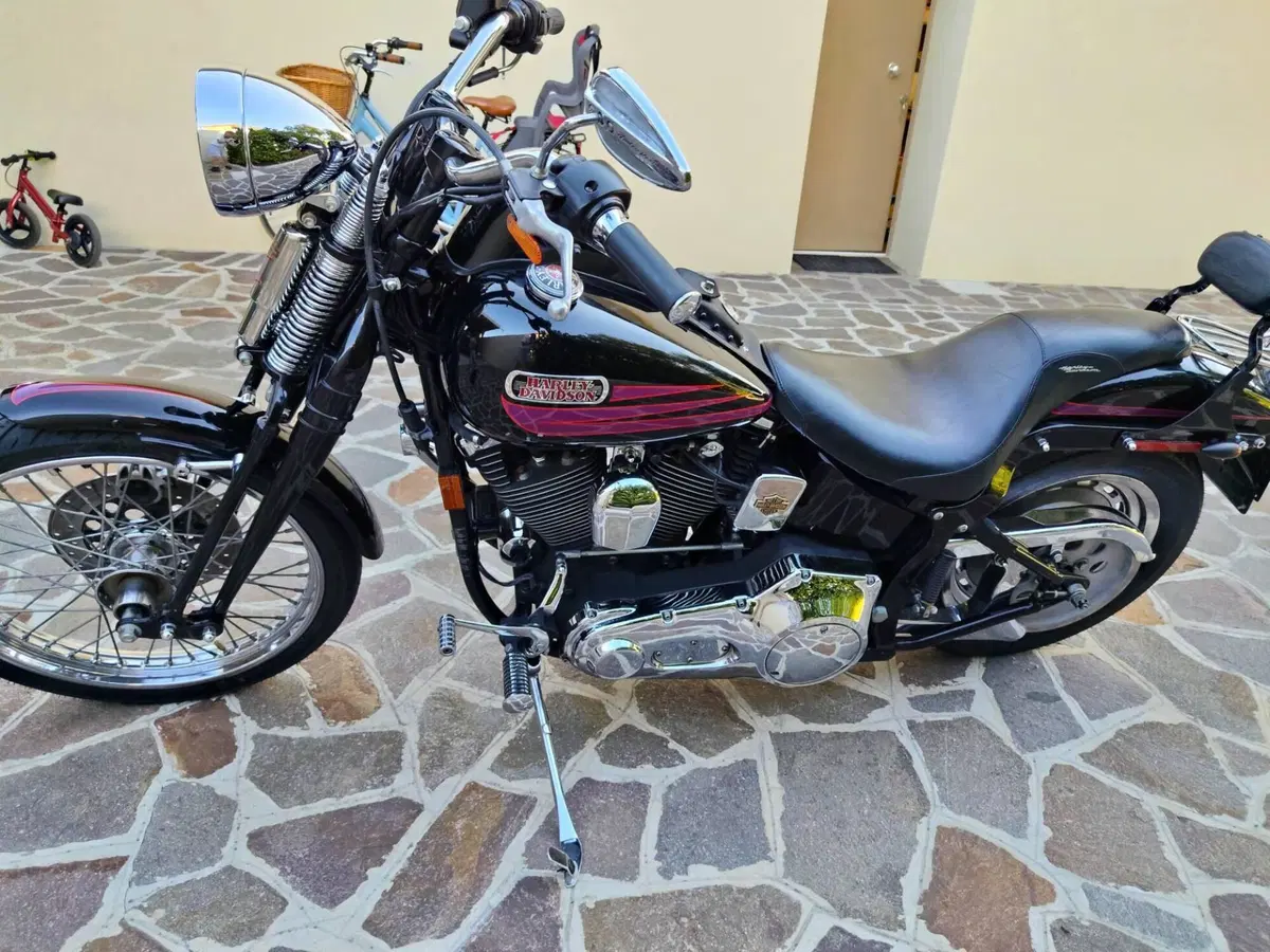 Harley-Davidson 1340 Bad Boy (1995 - 99) (2)