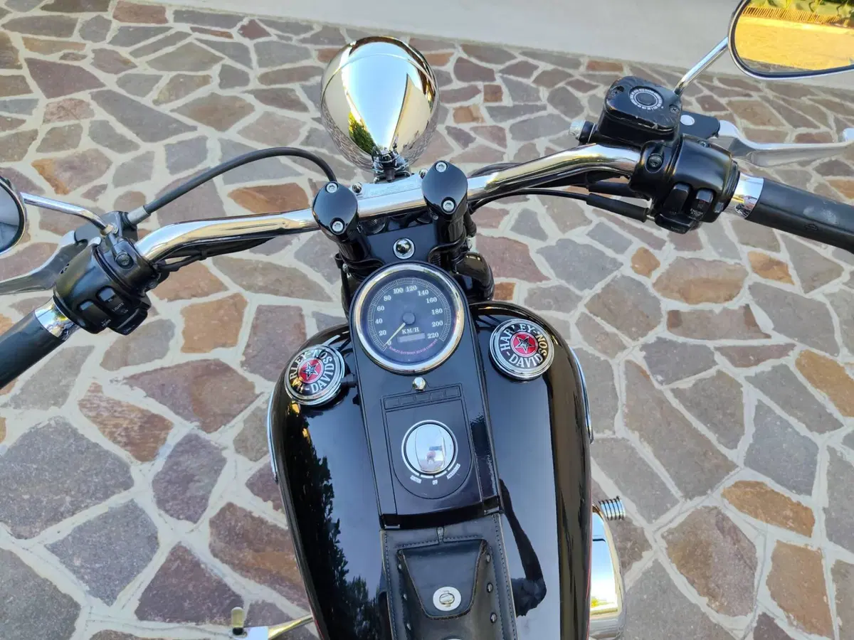 Harley-Davidson 1340 Bad Boy (1995 - 99) (7)