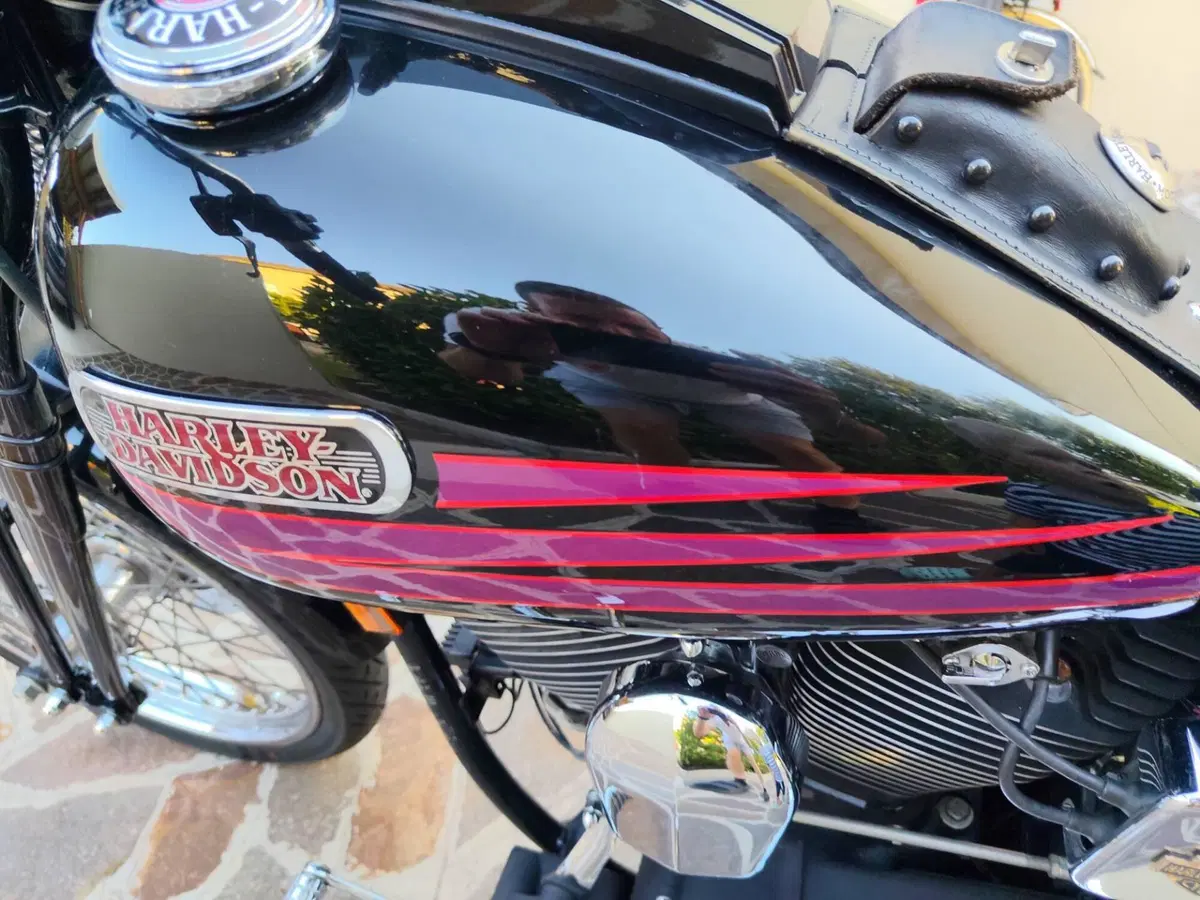 Harley-Davidson 1340 Bad Boy (1995 - 99) (8)