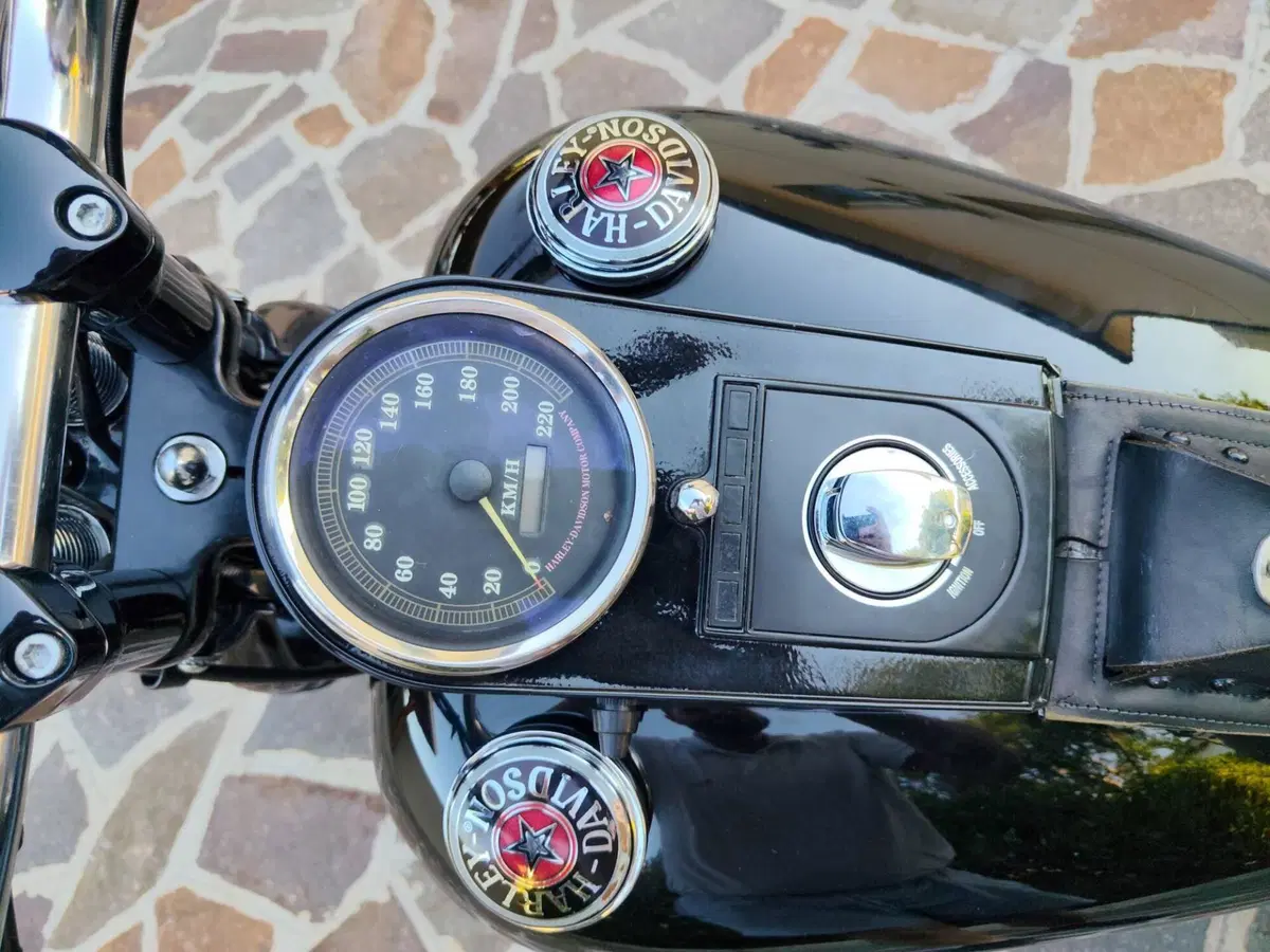 Harley-Davidson 1340 Bad Boy (1995 - 99) (9)
