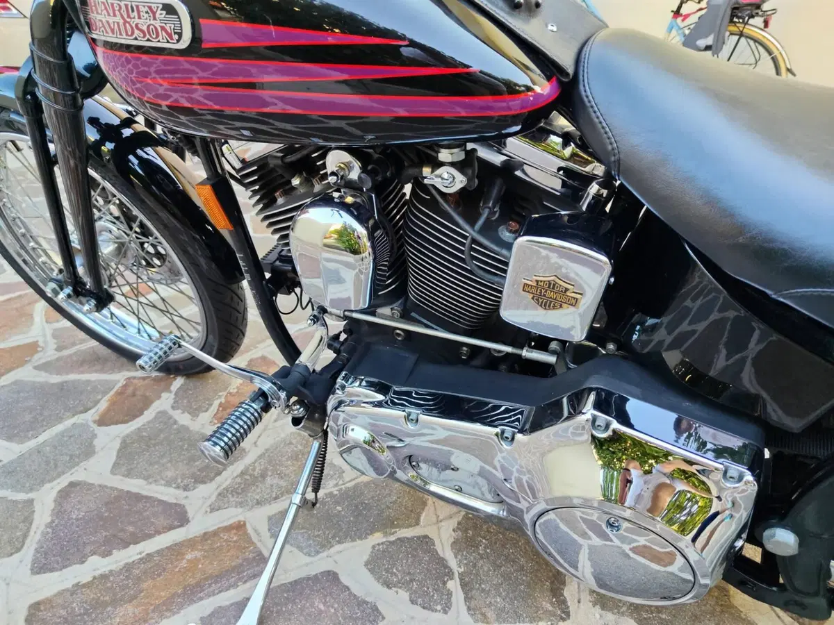 Harley-Davidson 1340 Bad Boy (1995 - 99) (13)
