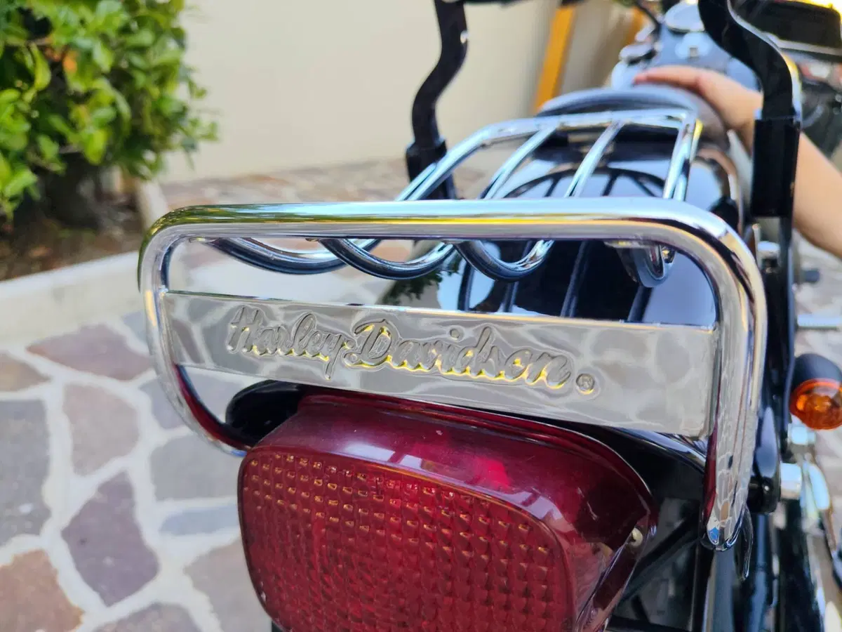 Harley-Davidson 1340 Bad Boy (1995 - 99) (14)