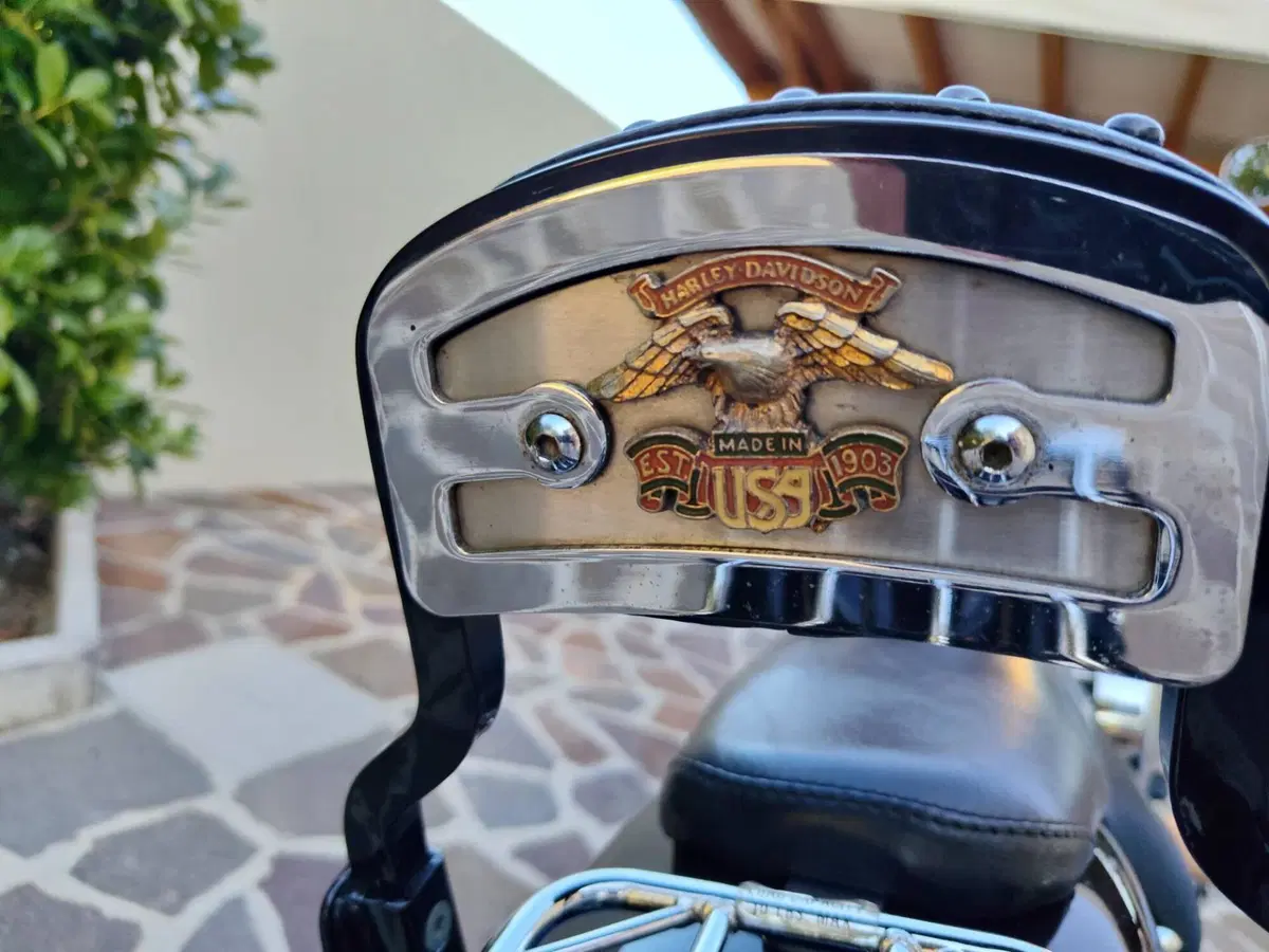 Harley-Davidson 1340 Bad Boy (1995 - 99) (15)