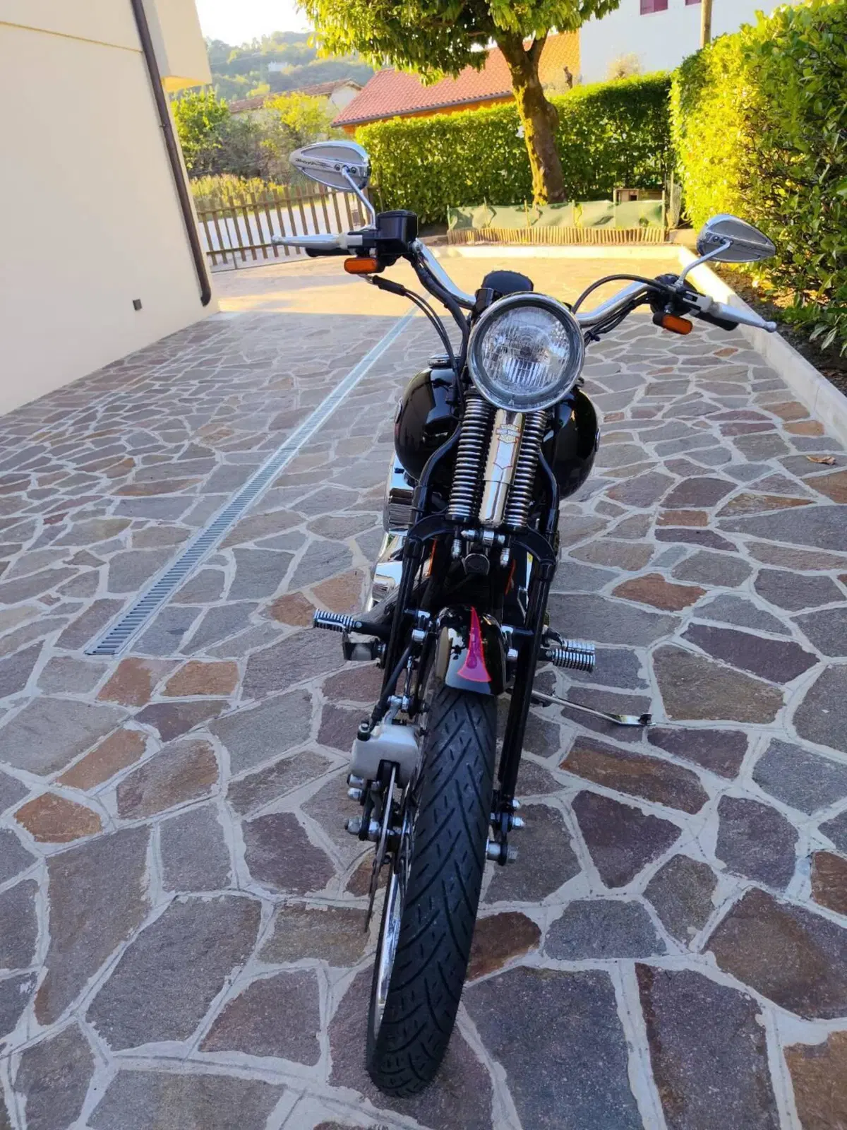 Harley-Davidson 1340 Bad Boy (1995 - 99) (20)