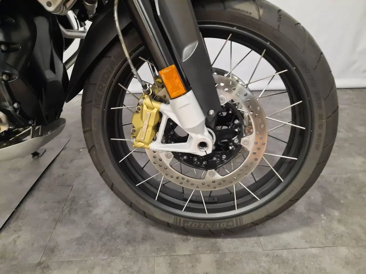 Bmw R 1250 GS Adventure (2019 - 20) (14)
