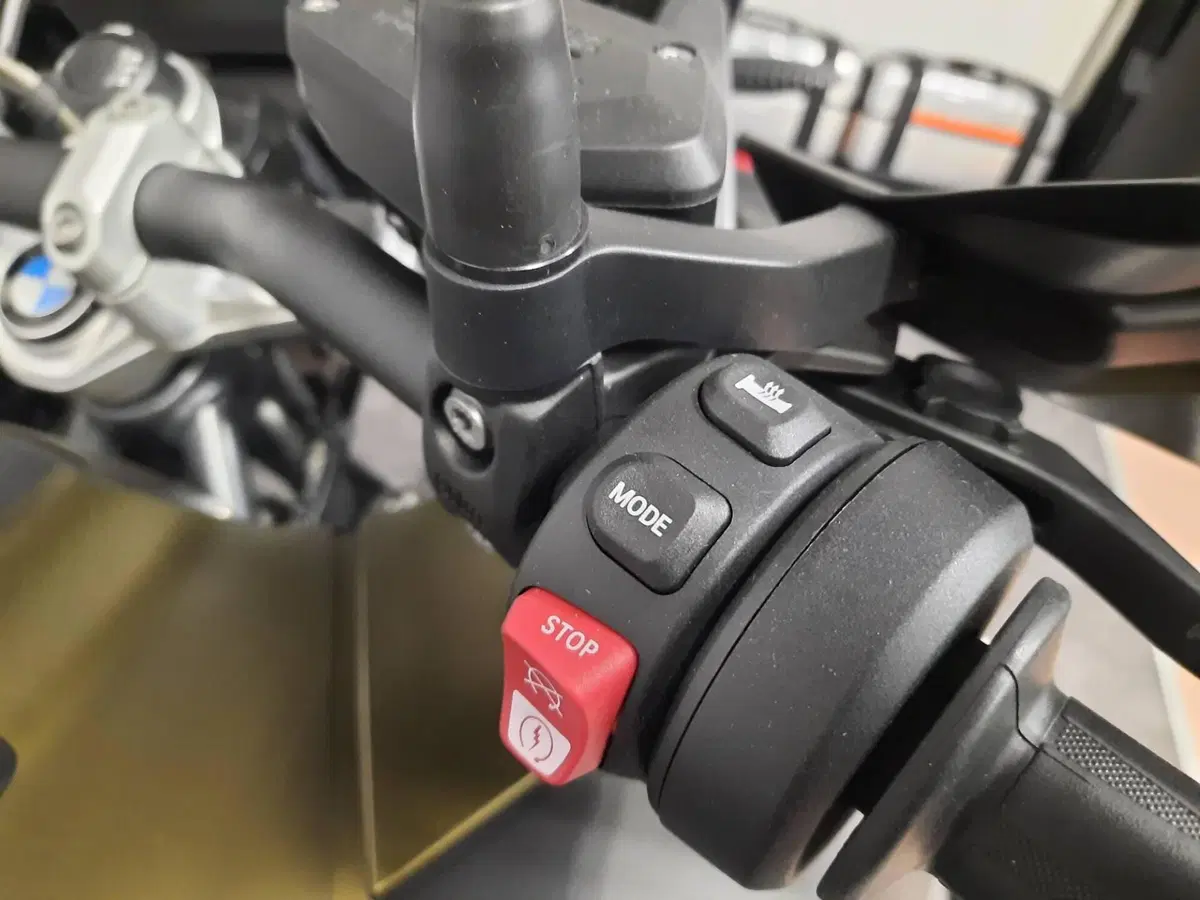 Bmw R 1250 GS Adventure (2019 - 20) (17)