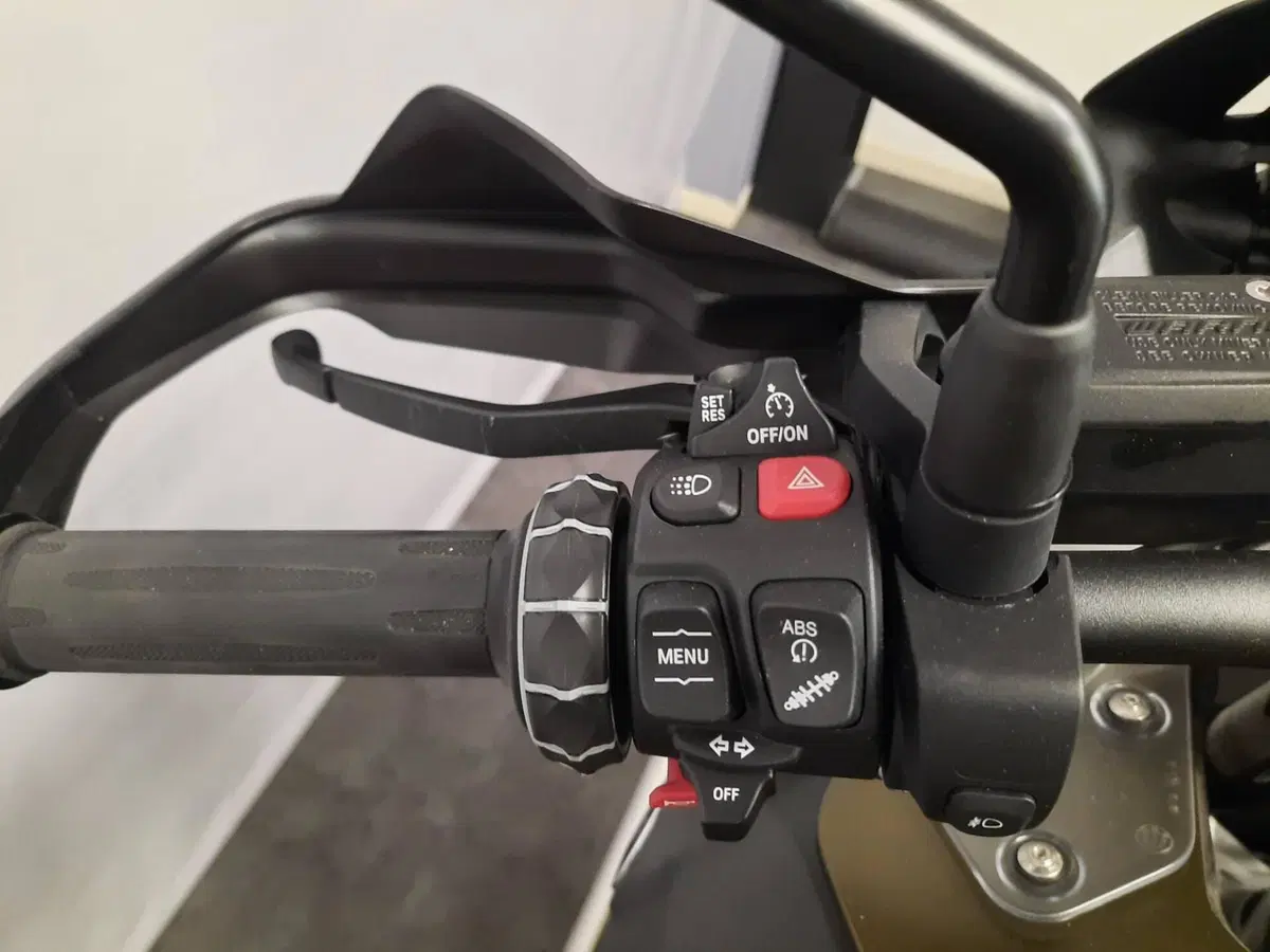 Bmw R 1250 GS Adventure (2019 - 20) (18)