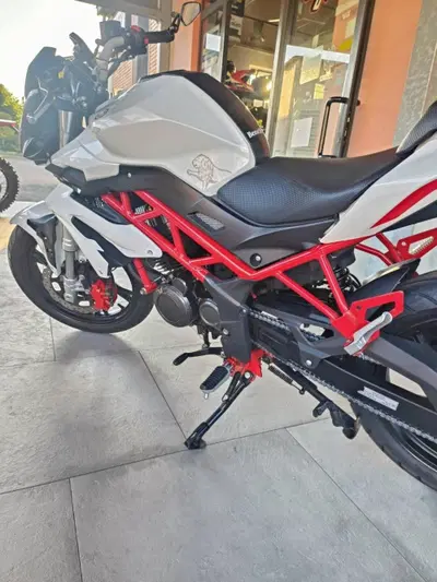 Benelli BN 125 (2018 - 20) usata