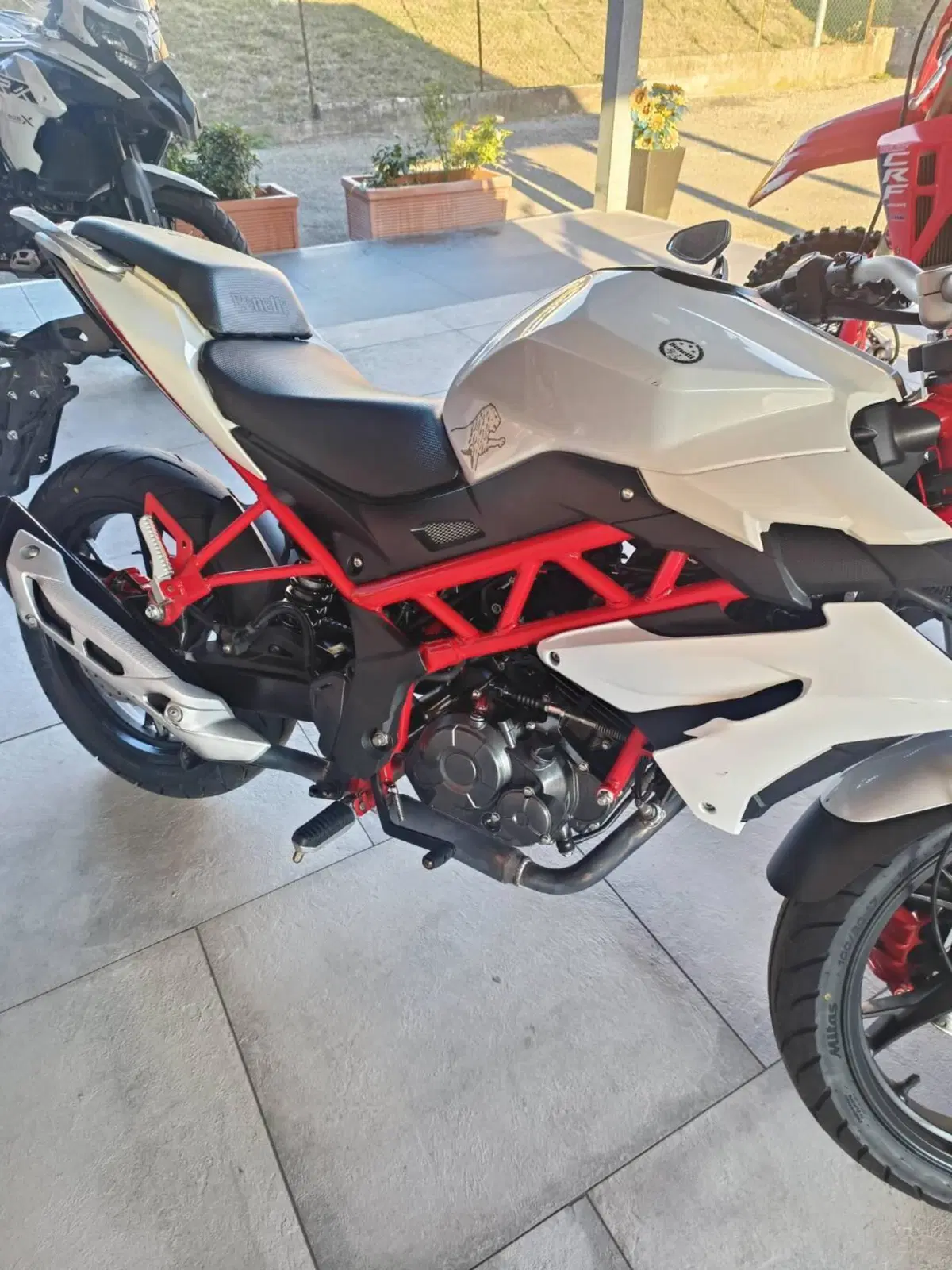 Benelli BN 125 (2018 - 20) (2)