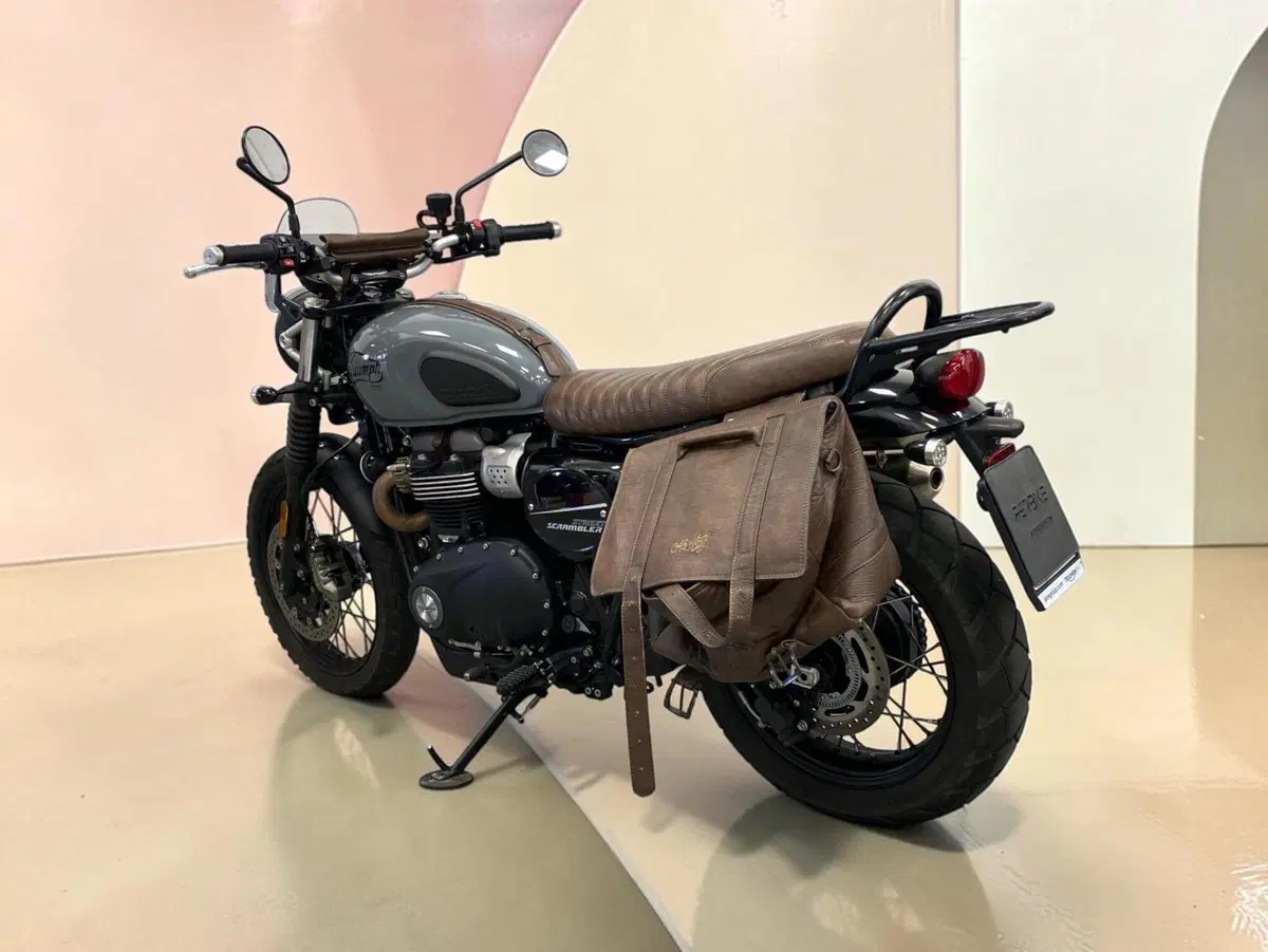 Triumph Street Scrambler 900 (2021 - 22) (3)