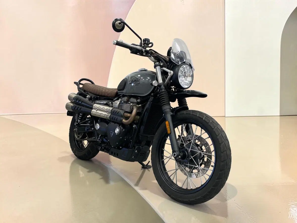 Triumph Street Scrambler 900 (2021 - 22) (4)