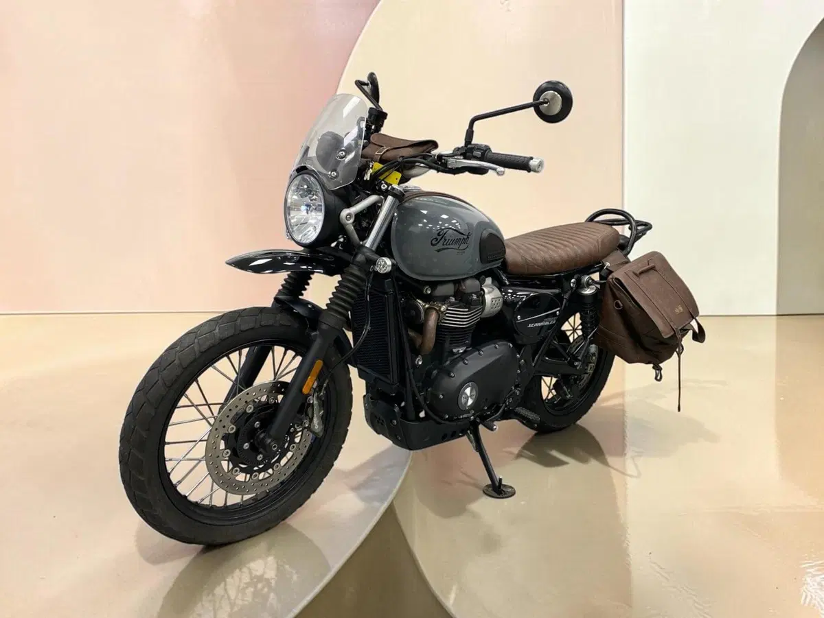 Triumph Street Scrambler 900 (2021 - 22) (6)