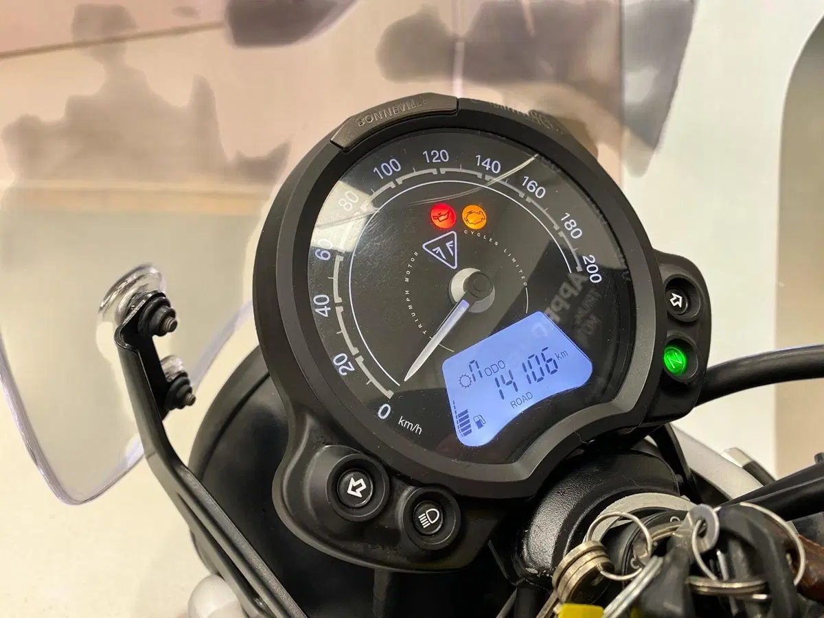 Triumph Street Scrambler 900 (2021 - 22) (7)