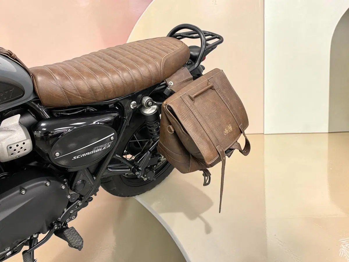 Triumph Street Scrambler 900 (2021 - 22) (9)