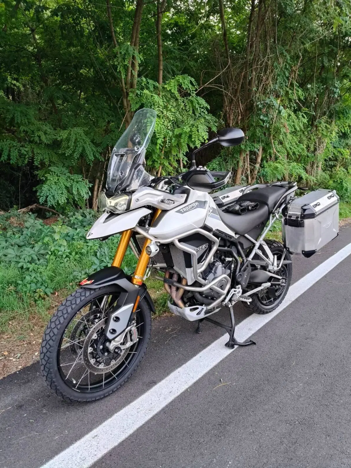 Triumph Tiger 900 Rally Pro (2020 - 23)