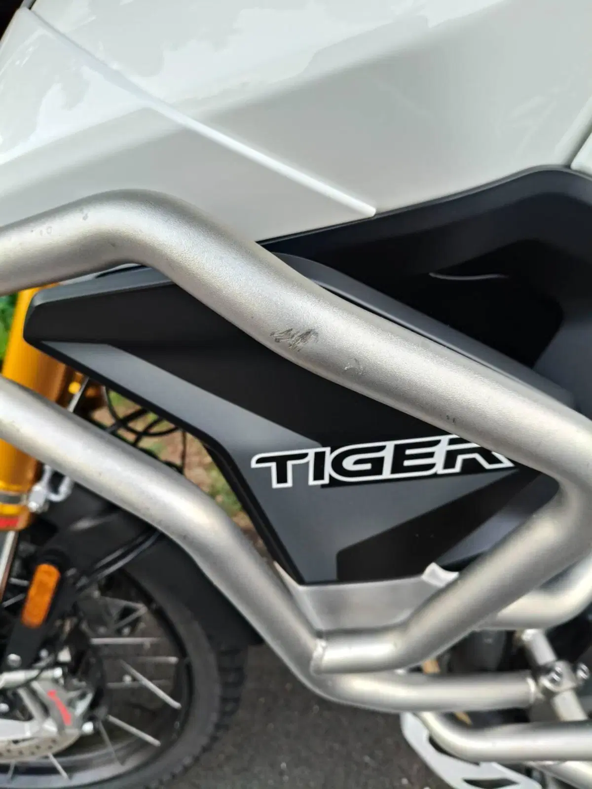 Triumph Tiger 900 Rally Pro (2020 - 23) (4)